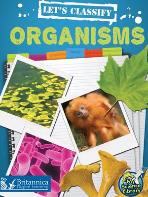 cover image of Let's Classify Organisms